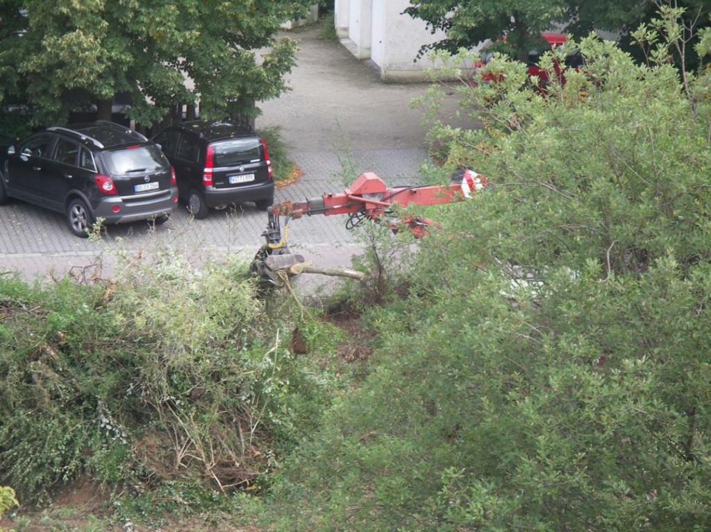 Boklok in Auringen: Rodungsgerät im Einsatz